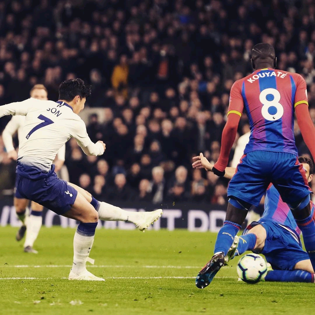 球迷的喜爱 球迷的喜爱